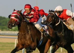 Horse Betting Online – Understanding Traditional Odds