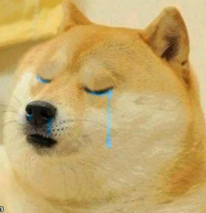 Dog Crying Meme