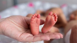 Unveiling Premature Birth: Essential Insights and Guidance
