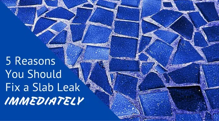 5 Reasons You Should Fix A Slab Leak.webp